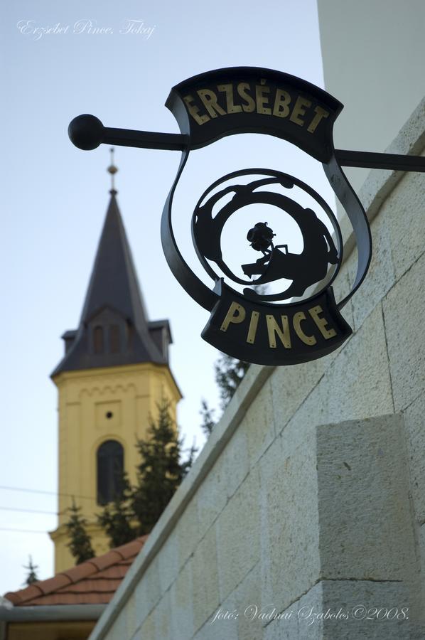 Апартаменти Erzsebet Pince Токай Екстер'єр фото